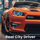 Real City Driver